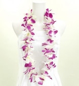 ϥ磻쥤 å ۥ磻ȡߥѡץ 2739whpu