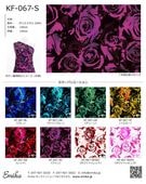 �ե������ϥ���ץ� �������� KF-067
