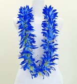 ϥ磻쥤 󥰥쥤 ѥꥣ ֥롼 1995rbl