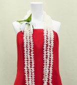 ϥ磻쥤 󥰥쥤 Ϣ ԥ ܥ꡼ 2951