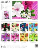 �ϥ磻�������ϥ���ץ� �ϥ��ӥ������� KH-646