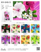 ϥ磻ϥץ ϥӥ KH-646