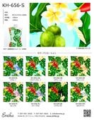�ϥ磻�������ϥ���ץ� �ѥ�Υ��� KH-656