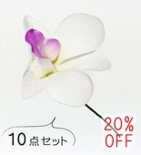 �ե���� �������å� �إ��ԥå� ��10�����åȡ� �ۥ磻�ȡߥѡ��ץ� 1338wp-10