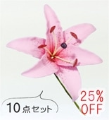 �ե���� ��꡼ �إ��ԥå� ��10�����åȡ� �ԥ� 1326pi-10