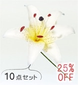 �ե���� ��꡼ �إ��ԥå� ��10�����åȡ� �ۥ磻�� 1326w-10