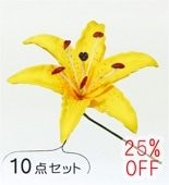 �ե���� ��꡼ �إ��ԥå� ��10�����åȡ� �������� 1326y-10