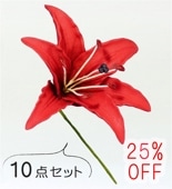 �ե���� ��꡼ �إ��ԥå� ��10�����åȡ� ��å� 1326r-10