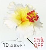 �ե���� �ϥ��ӥ����� �إ��ԥå� ��10�����åȡ� �ۥ磻�� 1325w-10