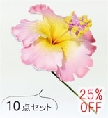 �ե���� �ϥ��ӥ����� �إ��ԥå� ��10�����åȡ� �ԥ� 1325pi-10