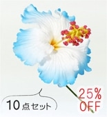 �ե���� �ϥ��ӥ����� �إ��ԥå� ��10�����åȡ� �֥롼 1325bl-10