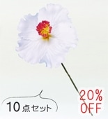 �ե���� �ϥ��ӥ����� �إ��ԥå� ��10�����åȡۥۥ磻�� 1598w-10