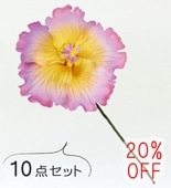 �ե���� �ϥ��ӥ����� �إ��ԥå� ��10�����åȡۥԥ� 1598pi-10