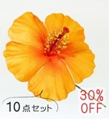 �ե���� �ϥ��ӥ����� �إ��ԥå� ��10�����åȡۥ���� 1330o-10