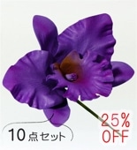 �ե���� ���ȥ쥢 �إ��ԥå� ��10�����åȡۥѡ��ץ� 1327p-10