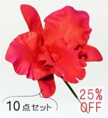 �ե���� ���ȥ쥢 �إ��ԥå� ��10�����åȡۥ�å� 1327r-10