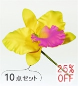 �ե���� ���ȥ쥢 �إ��ԥå� ��10�����åȡۥ��������ߥԥ� 1327ypi-10