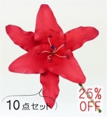 �ե���� ��ꥣ �إ��ԥå���10�����åȡۥ�å� 1524r-10