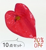 �ե���� ���󥹥ꥦ�� �إ��ԥå� ��10�����åȡۥ�å� 1525-10