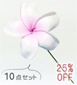 �ե���� �ץ��ꥢ �إ��ԥå� ��10�����åȡ� �ۥ磻�ȡߥԥ� 1343wpi-10