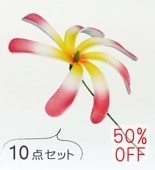 �ե���� �ƥ����� �إ��ԥå���10�����åȡۥ�å� 1259r-10