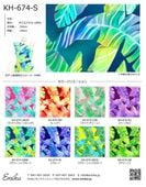 �ϥ磻�������ϥ���ץ� �Хʥʥ꡼���� KH-674