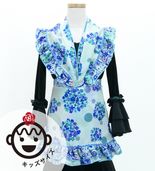 ���å� �ե��� �ԥ������硦���ץ��󥻥å� S-L������ �����߿�� �֥롼�ߥۥ磻�� PAp-9