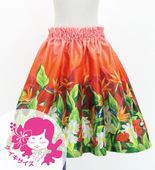 ������ �ե���� ����󥿥� �ѥ��������� �ϥ磻����ե����꡼�� Jp192-1