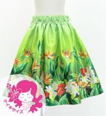 ������ �ե���� ����󥿥� �ѥ��������� �ϥ磻����ե����꡼�� Jp192-5