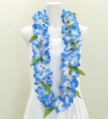 ϥ磻쥤 ץꥢ ֥롼 111b