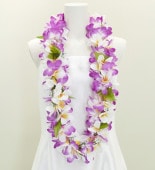 ϥ磻쥤 ץꥢ ѡץ 111p