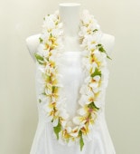 ϥ磻쥤 ץꥢ  111y