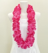 �ϥ磻����쥤 �ץ��ꥢ �ԥ� 958pi