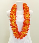 ϥ磻쥤 ץꥢ  959o