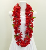 ϥ磻쥤 ץꥢ å 499