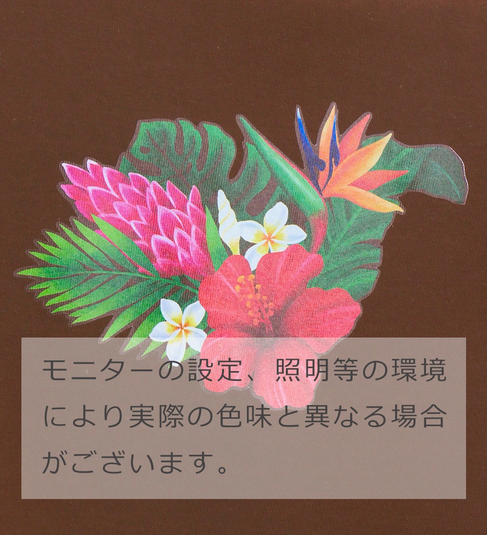 T����� �ϥ磻����ե� �֥饦�� 3083br