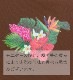 T����� �ϥ磻����ե� �֥饦�� 3083br
