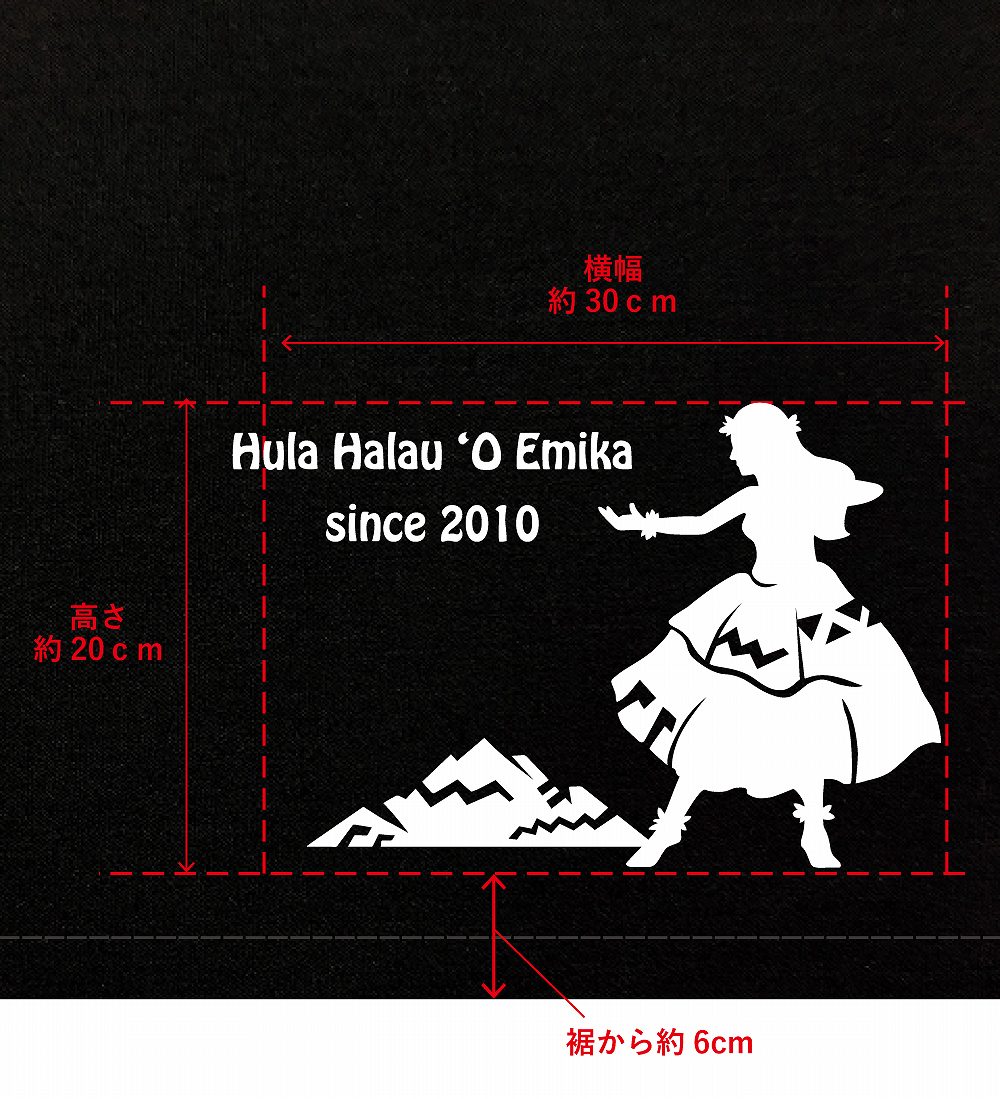 ̾ѥ ե饬 ٤륫顼Ⱦ NP007B