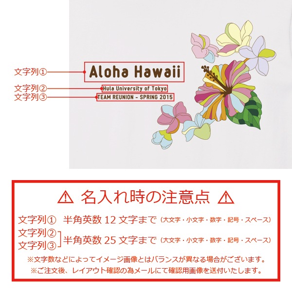 ̾����T����� �ۥ磻�� NT010w