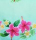 �ե���� �ѥ���������&���塼�֥ȥå� ���å� �ϥ��ӥ��������ץ��ꥢ �饤�ȥ֥롼 J3090lbl