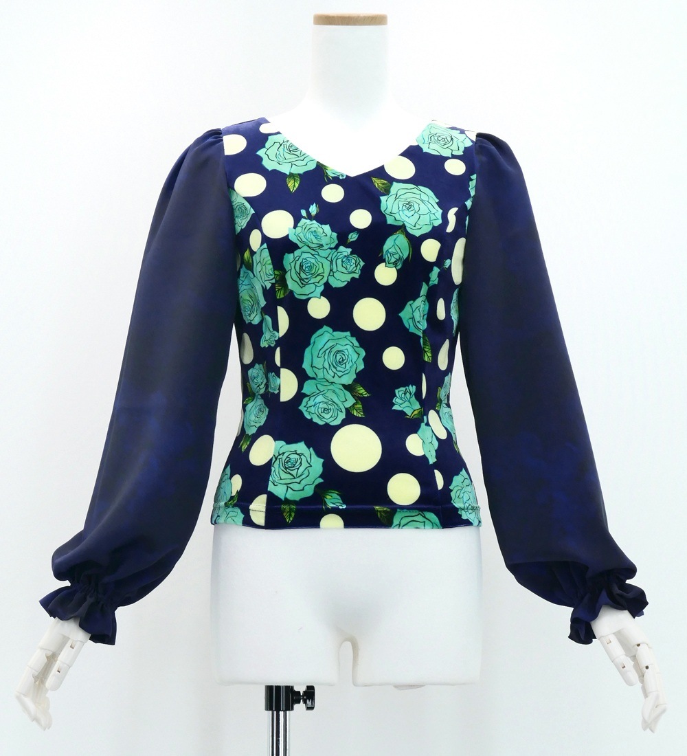 S-L������ �ե��� �������߿�� ���åȥ��å� �֥롼���ͥ��ӡ� FBS-19