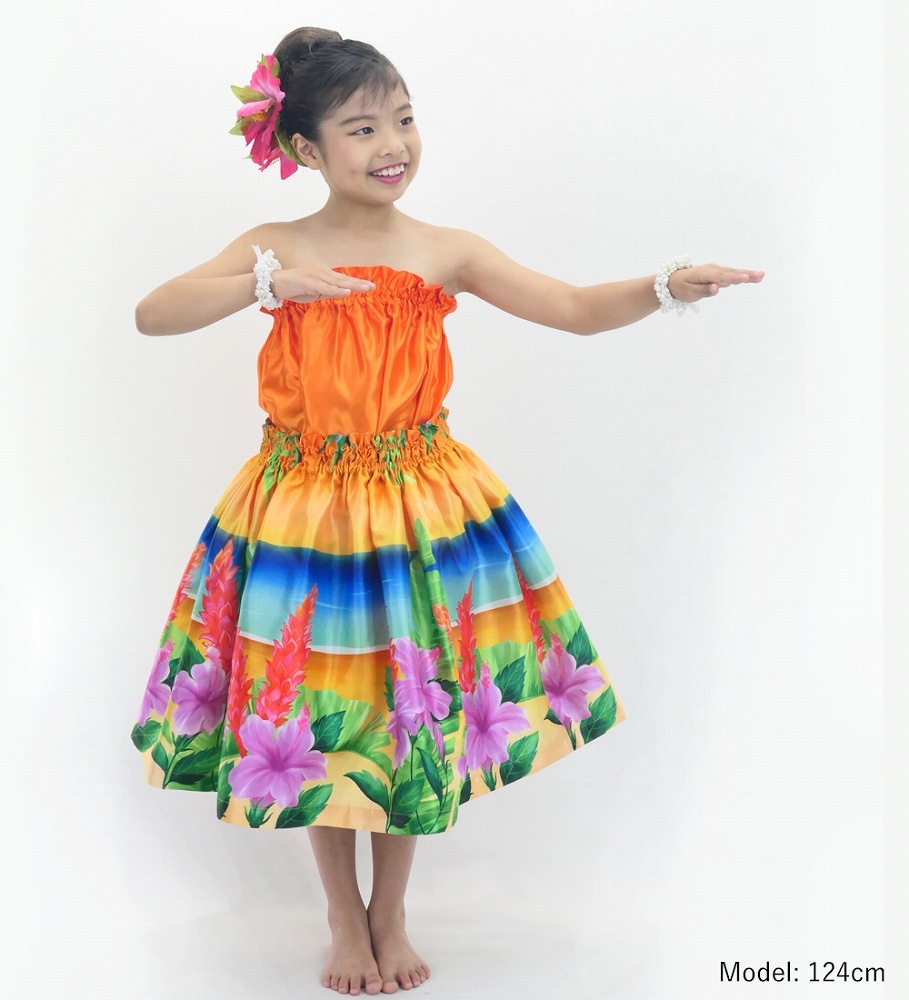 ������ ����󥿥� ���åȥ��å� �ϥ��ӥ����� 120��140������ Jp118-4