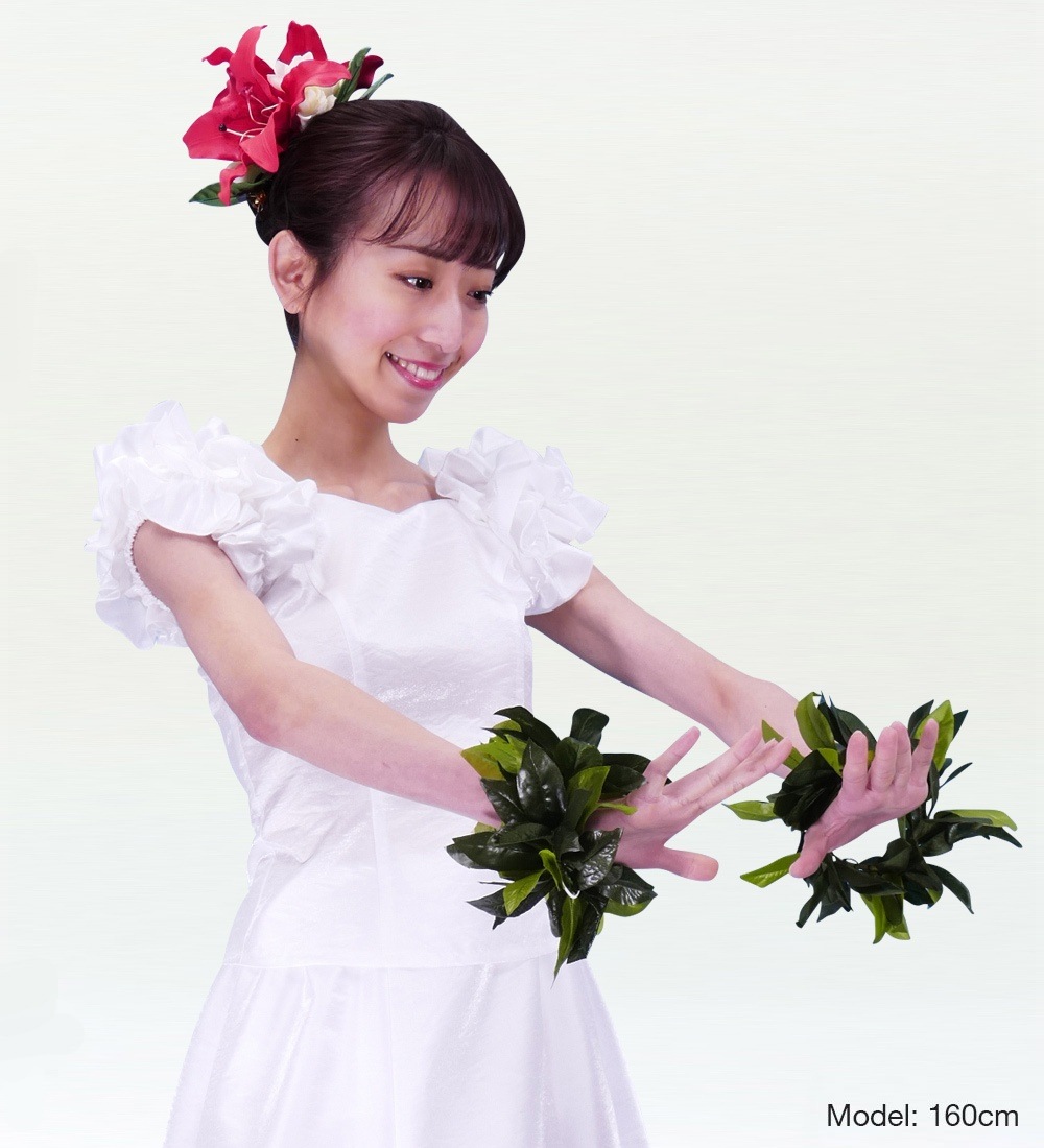 �ե���� ����󥿥� �ե��µ�֥饦�� [M] �ۥ磻�� 2446whM