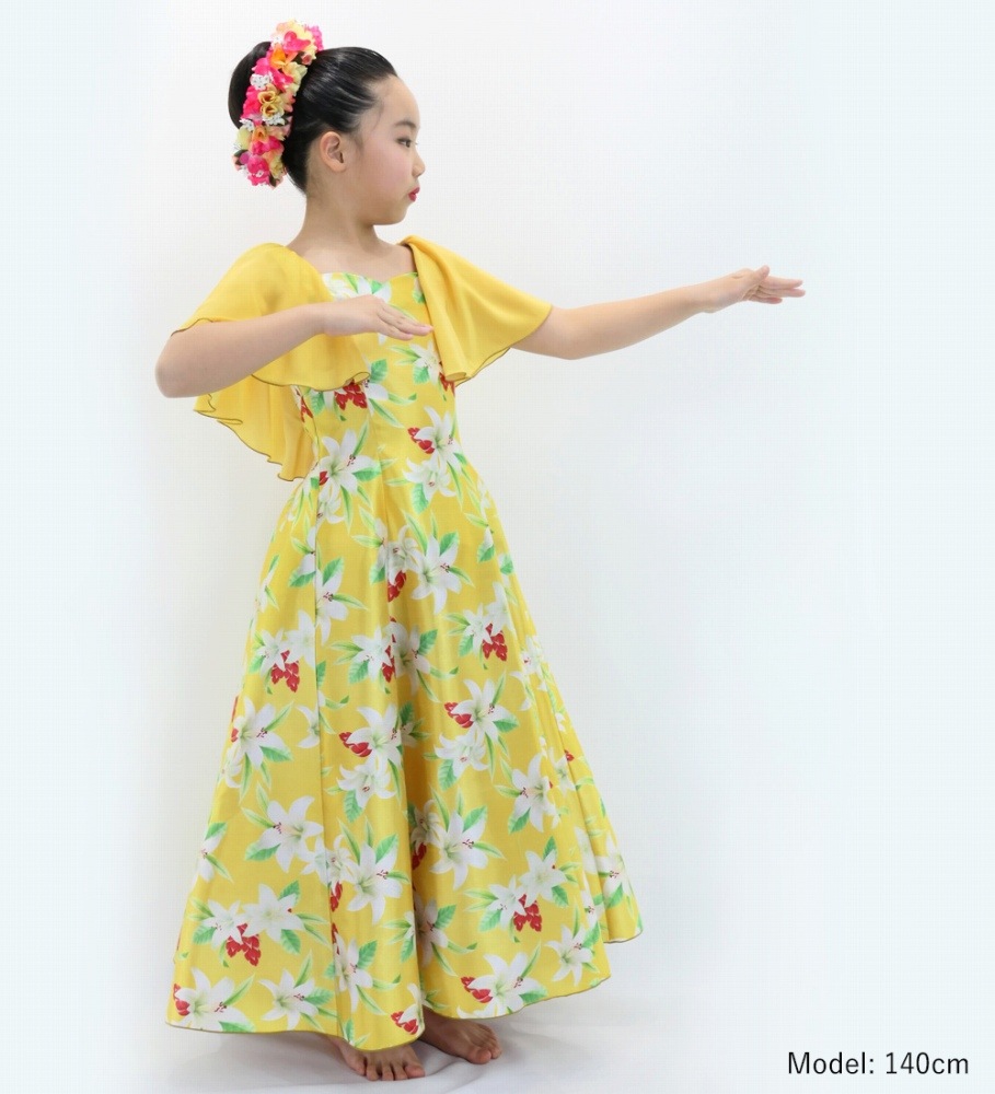 ������ �ڥ��󥰾�� �ե�ɥ쥹 �ե��µ ��꡼ �������� 120��140������ Jp79ye