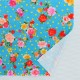 �ե������� �������������͡�������� ���٤����� �饤�ȥ֥롼 KF-079-LBL