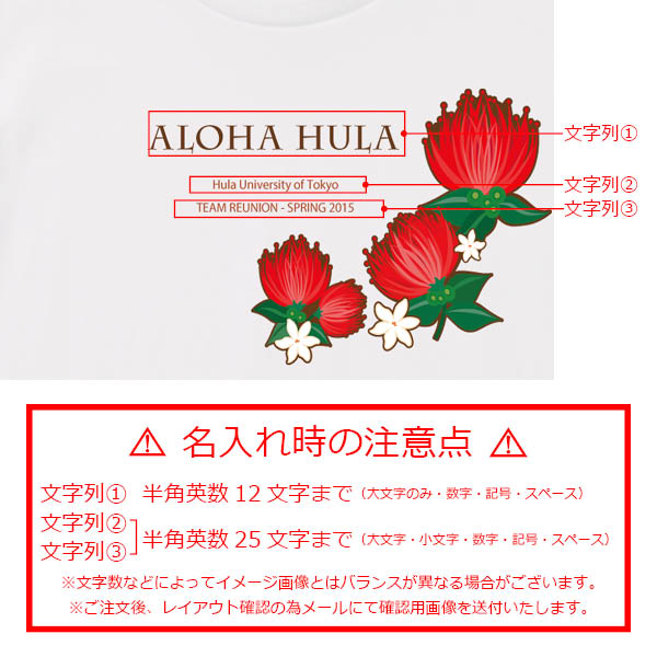������ ̾����T����� �ۥ磻�� NTK015