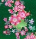 �����ɥ쥹 ���󥰾� ����ꥫ�󥹥꡼�� �� ���꡼����С� S-L������ JW002gr