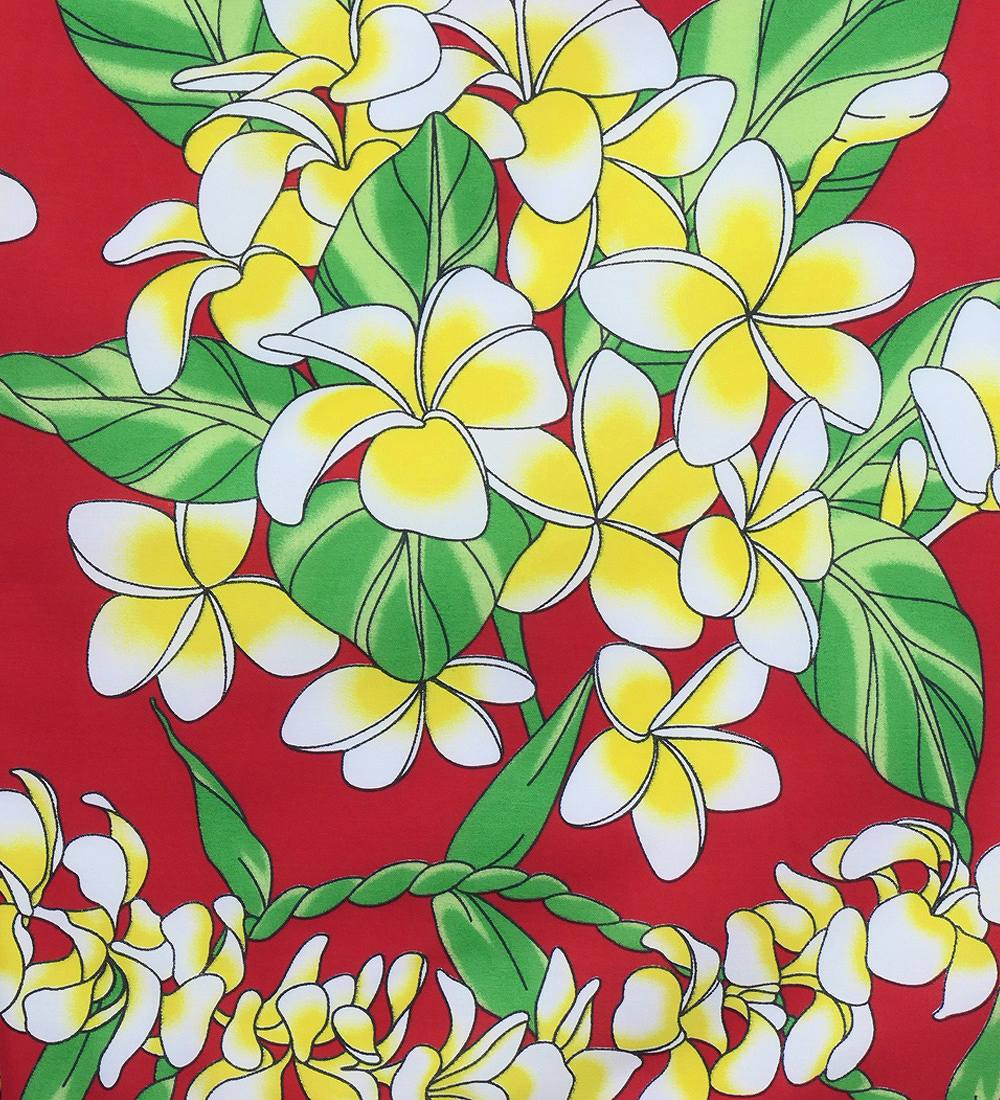 �ե���� �ѥ��������� ���󥰥�78cm�� ��å� 3248