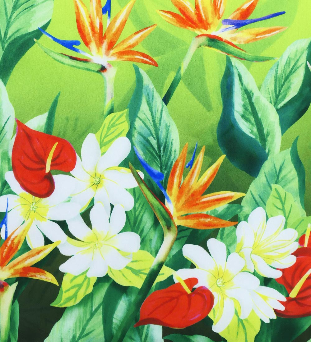 �ե���� ���٤�ȥåץ����ѥ��������� �ϥ磻����ե����꡼�� J3256-5