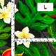 �ϥ磻�������� �ѥ�Υ��� ���٤����� �֥�å� KH-656-BK